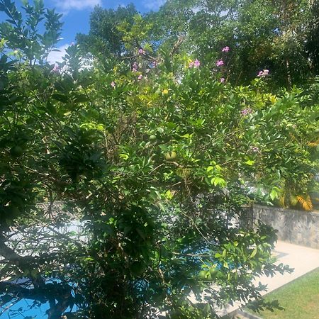 Healand Holiday Bungalow And Restaurant Deniyaya Exterior foto
